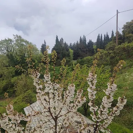 Christina's House - Neochori Pelion Lejlighed *